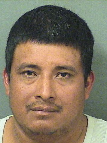  MAXIMINO FRANCISCOFRANCISCO Results from Palm Beach County Florida for  MAXIMINO FRANCISCOFRANCISCO