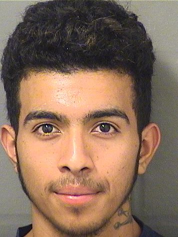  YOCSEL CERNAMERCADO Results from Palm Beach County Florida for  YOCSEL CERNAMERCADO