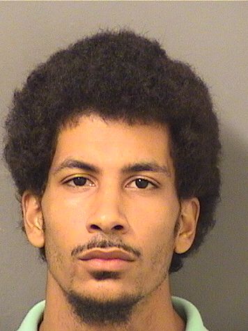  VINCENT MAURICE RIDLEYPLUMMER Resultados de la busqueda para Palm Beach County Florida para  VINCENT MAURICE RIDLEYPLUMMER