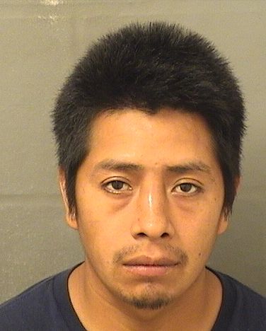  ALONZO MORALES Results from Palm Beach County Florida for  ALONZO MORALES