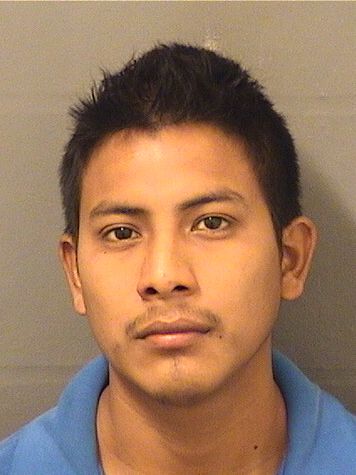  ADILIO R MORALESMENDEZ Results from Palm Beach County Florida for  ADILIO R MORALESMENDEZ