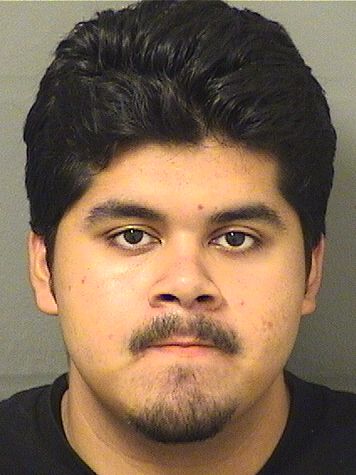  PEDRO ALEXANDER MONTALVAN Results from Palm Beach County Florida for  PEDRO ALEXANDER MONTALVAN