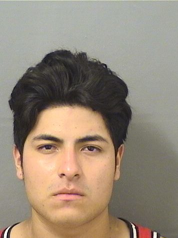  DANLI HERNANDEZ Results from Palm Beach County Florida for  DANLI HERNANDEZ