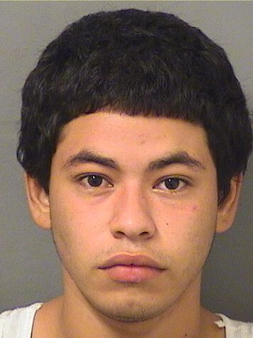  CHRISTOPHER ISAIAH LOPEZGOMEZ Results from Palm Beach County Florida for  CHRISTOPHER ISAIAH LOPEZGOMEZ