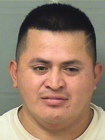  MANUEL EDWIN CARDENASSILVESTRE Results from Palm Beach County Florida for  MANUEL EDWIN CARDENASSILVESTRE