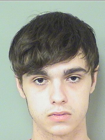  JOHN LELAND III BONEA Results from Palm Beach County Florida for  JOHN LELAND III BONEA