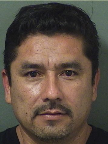  MIGUEL A HERNANDEZ Results from Palm Beach County Florida for  MIGUEL A HERNANDEZ