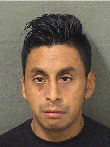  SELVIN PONCIANO CLEMENTERAMIREZ Results from Palm Beach County Florida for  SELVIN PONCIANO CLEMENTERAMIREZ