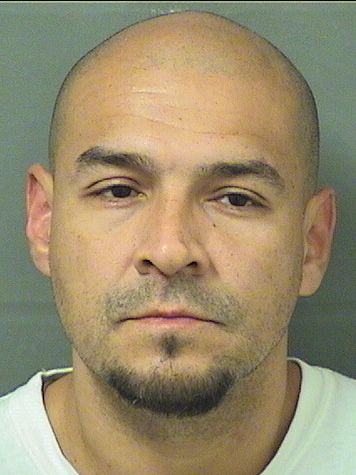  OSCAR STEVE PAULI Results from Palm Beach County Florida for  OSCAR STEVE PAULI