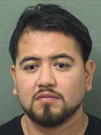  MARCO A HERNANDEZLARIOS Results from Palm Beach County Florida for  MARCO A HERNANDEZLARIOS