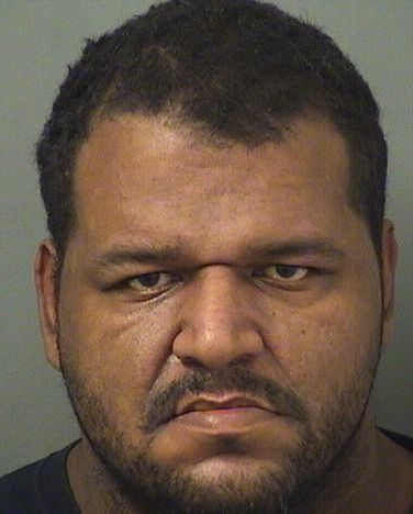  JASON MICHAEL DAVIS Resultados de la busqueda para Palm Beach County Florida para  JASON MICHAEL DAVIS