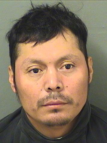  ANIBAL O MENDEZPUAC Results from Palm Beach County Florida for  ANIBAL O MENDEZPUAC