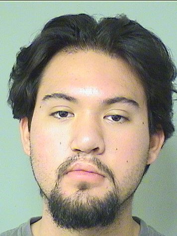  JOSHUA ALEXANDER CASTILLO Results from Palm Beach County Florida for  JOSHUA ALEXANDER CASTILLO