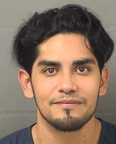  CARLOS MONTESINOSPENA Results from Palm Beach County Florida for  CARLOS MONTESINOSPENA