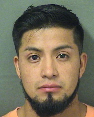  FAVIO ELISTEO CASTANONDOMINGO Results from Palm Beach County Florida for  FAVIO ELISTEO CASTANONDOMINGO