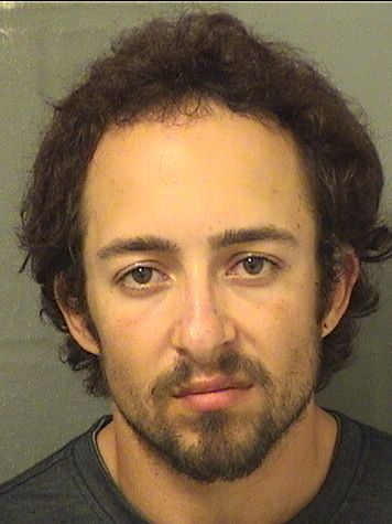  DAVID A ZAGER Results from Palm Beach County Florida for  DAVID A ZAGER