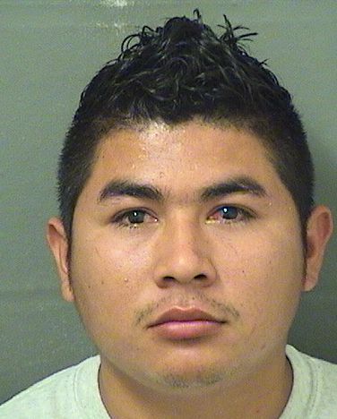  AROCHE HERNANDEZ Results from Palm Beach County Florida for  AROCHE HERNANDEZ