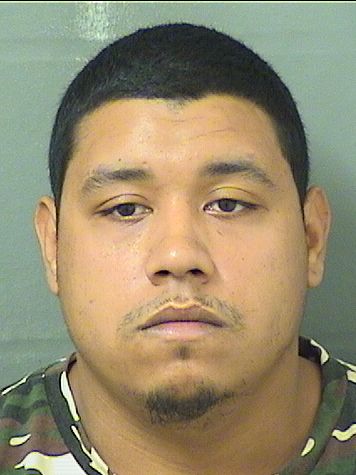  ANTHONY LEE DELGADO Results from Palm Beach County Florida for  ANTHONY LEE DELGADO