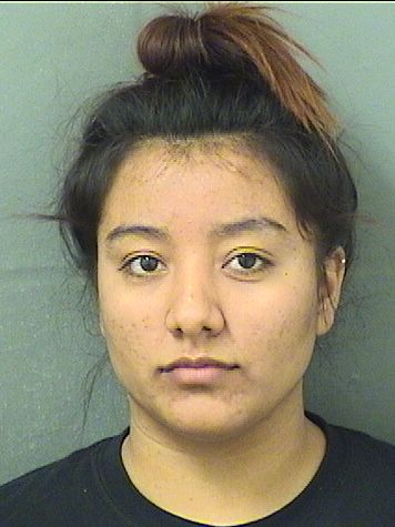  KARLA M GODOY Results from Palm Beach County Florida for  KARLA M GODOY