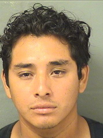  MATEO DIEGO Resultados de la busqueda para Palm Beach County Florida para  MATEO DIEGO