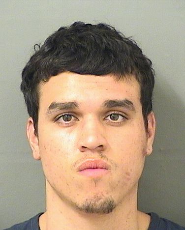  JAMES A LANG Resultados de la busqueda para Palm Beach County Florida para  JAMES A LANG