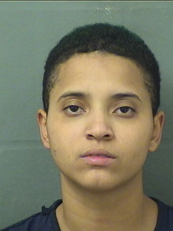  MORGAN T CLEMMONS Results from Palm Beach County Florida for  MORGAN T CLEMMONS