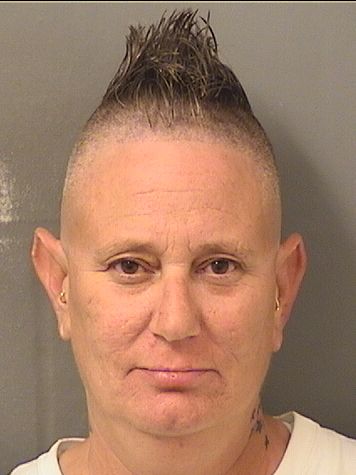  CINDY L SCHNEIDER Photo