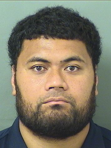  AMONI NIKOLASI VEA Results from Palm Beach County Florida for  AMONI NIKOLASI VEA