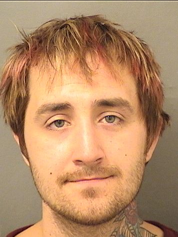  SEAN ALLAN LEVIN Results from Palm Beach County Florida for  SEAN ALLAN LEVIN