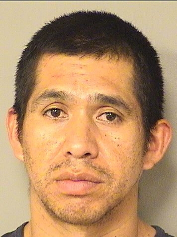  MARION VINCENTE MEZASILVA Results from Palm Beach County Florida for  MARION VINCENTE MEZASILVA