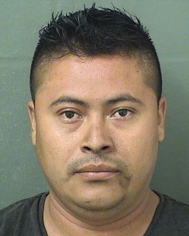  ROGELIO MAURICIO CANOROBLERO Results from Palm Beach County Florida for  ROGELIO MAURICIO CANOROBLERO
