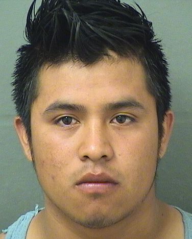  ROBERTO GOMEZHERNANDEZ Results from Palm Beach County Florida for  ROBERTO GOMEZHERNANDEZ