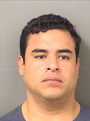 CESAR ALBERTO HARONAPURI Results from Palm Beach County Florida for CESAR ALBERTO HARONAPURI CESAR ALBERTO HARONAPURI Results from Palm Beach County Florida for CESAR ALBERTO HARONAPURI