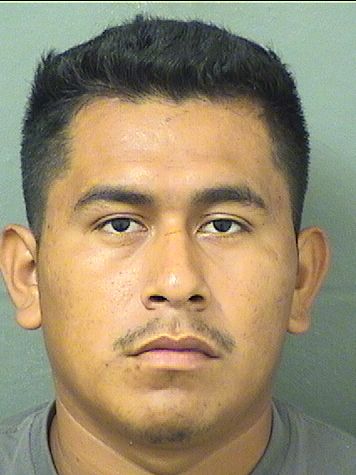  JAIRO VASQUEZ Results from Palm Beach County Florida for  JAIRO VASQUEZ