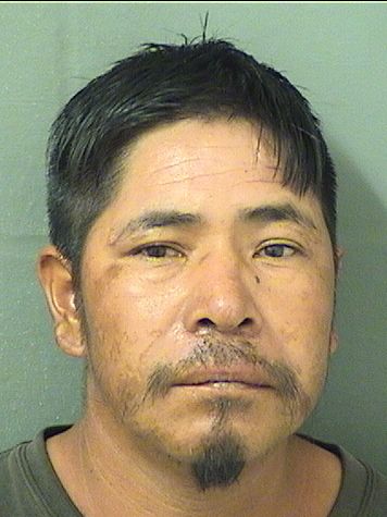  NICOLAS HERNANDEZ Results from Palm Beach County Florida for  NICOLAS HERNANDEZ