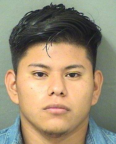  EDY ELVER CHILELRAMIREZ Results from Palm Beach County Florida for  EDY ELVER CHILELRAMIREZ