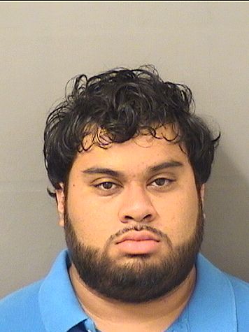  HECTOR LUIS CABRERA Results from Palm Beach County Florida for  HECTOR LUIS CABRERA