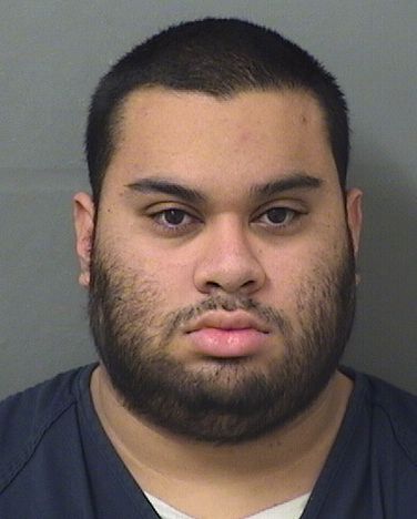  HECTOR LUIS CABRERA Results from Palm Beach County Florida for  HECTOR LUIS CABRERA