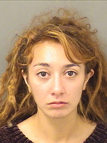  GABRIELLE A SABUNCU Results from Palm Beach County Florida for  GABRIELLE A SABUNCU