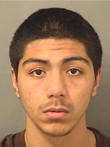 CARLOS D DIAZ Results from Palm Beach County Florida for CARLOS D DIAZ CARLOS D DIAZ Results from Palm Beach County Florida for CARLOS D DIAZ