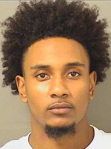  TERRELL MAURICE ROBINSON Results from Palm Beach County Florida for  TERRELL MAURICE ROBINSON