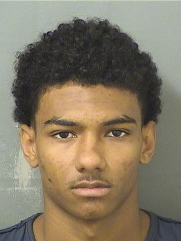 ALTON WILLIAM BRONSON Results from Palm Beach County Florida for ALTON WILLIAM BRONSON ALTON WILLIAM BRONSON Results from Palm Beach County Florida for ALTON WILLIAM BRONSON
