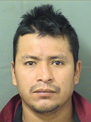  MIGUEL MATEA Resultados de la busqueda para Palm Beach County Florida para  MIGUEL MATEA