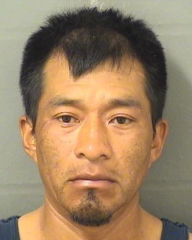  PEDRO PEREZ Results from Palm Beach County Florida for  PEDRO PEREZ