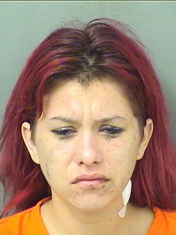  JESSICA L GRACZYK Resultados de la busqueda para Palm Beach County Florida para  JESSICA L GRACZYK