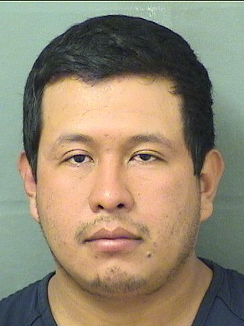  VICTOR EFREN MIGUELCAMPOSECO Results from Palm Beach County Florida for  VICTOR EFREN MIGUELCAMPOSECO