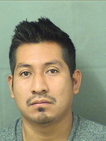  ANTULIO LOPEZ RAMIREZ Results from Palm Beach County Florida for  ANTULIO LOPEZ RAMIREZ