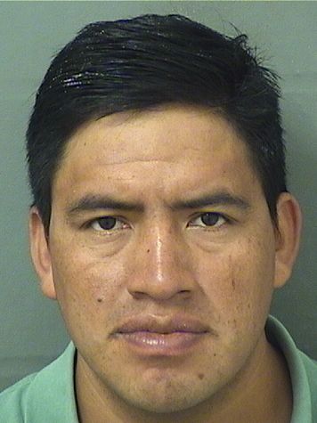  MAYNOR ALFREDO SONTAYVELASQUEZ Resultados de la busqueda para Palm Beach County Florida para  MAYNOR ALFREDO SONTAYVELASQUEZ