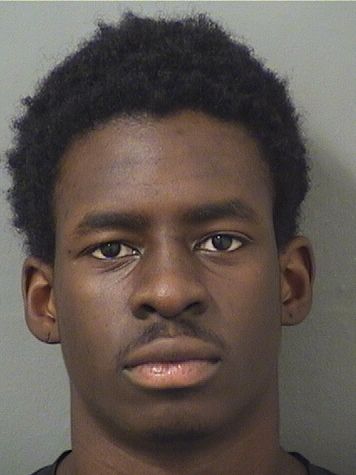  STEPHENSON CAMILLE Results from Palm Beach County Florida for  STEPHENSON CAMILLE