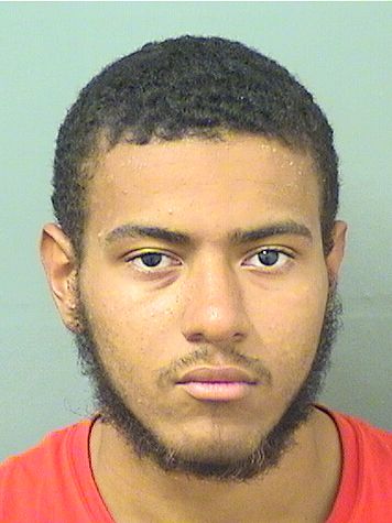  MICHAEL E Jr RIVERA Results from Palm Beach County Florida for  MICHAEL E Jr RIVERA